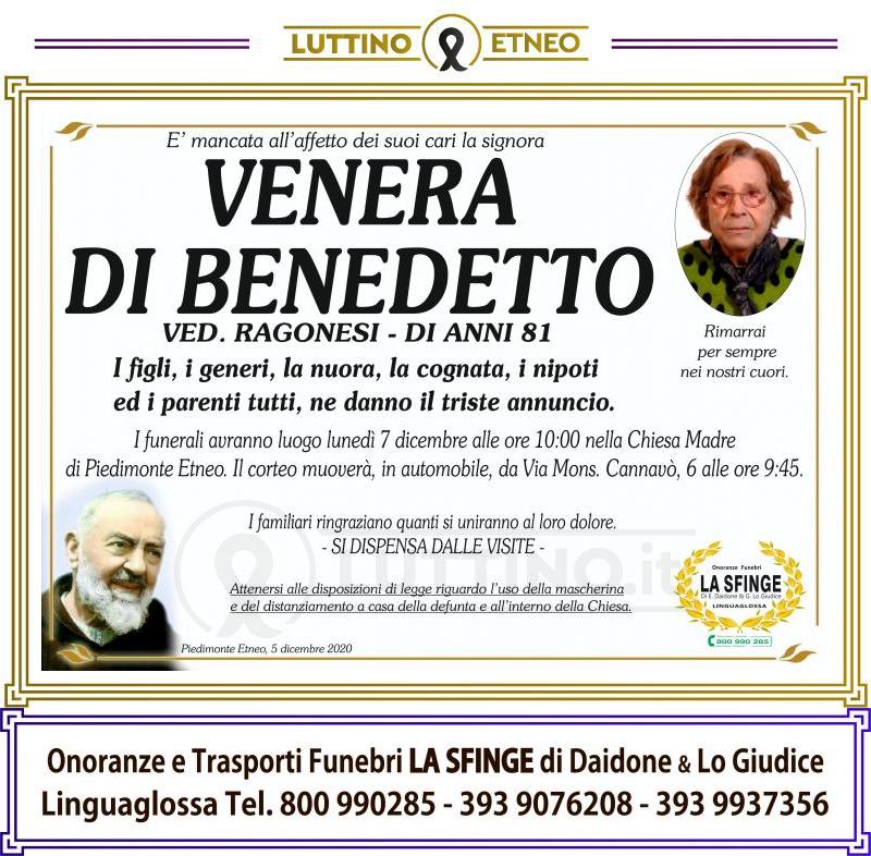 Venera  Di Benedetto 